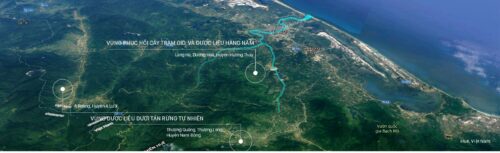 Vùng trồng nguyên liệu của Thiên Niên xanh